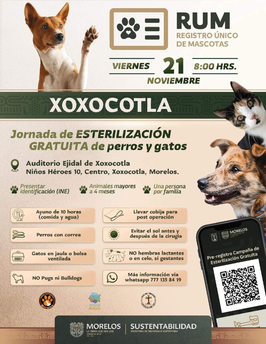 Habrá jornada de Registro Único de Mascotas en Xoxocotla