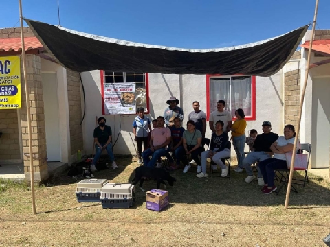 Integrantes de la organización AMAC participaron en la campaña de esterilización.