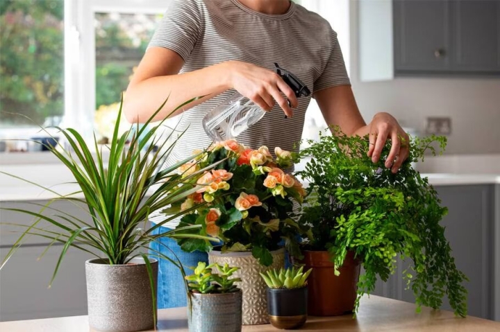 ¿Qué es el estrés hídrico y cómo afecta a las plantas de tu huerto? Así puedes evitarlo