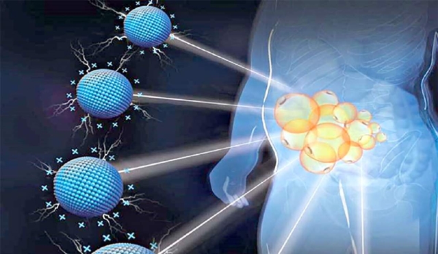 Ciertos nanomateriales cargados positivamente tratan la obesidad en cualquier lugar que se desee