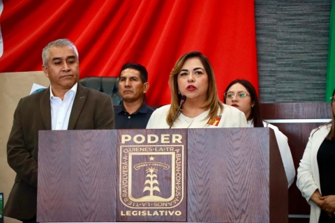 Exhorta diputadaTania Valentina Rodr&iacute;guez a restaurar y proteger las &aacute;reas forestales afectadas por incendios en Tlalnepantla