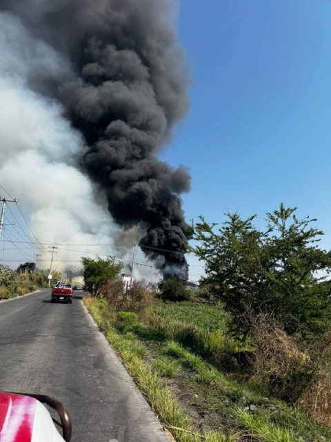 Ya son varios los incendios que se han generado en la región sur. Se presume que se debe a la quema no autorizada de basura.