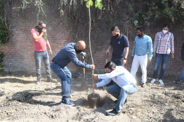 El gobierno de Cuautla realiza reforestación en diversos puntos del municipio.