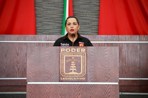 Impulsa Tania Valentina Rodr&iacute;guez Ruiz la lucha contra el c&aacute;ncer infantil y de mama