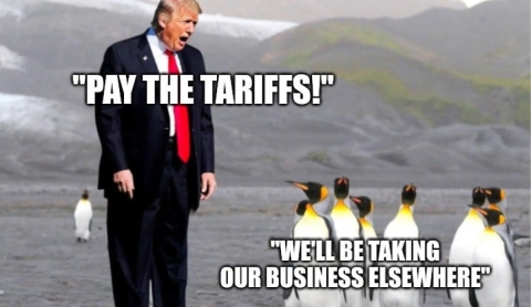 Memes por los aranceles de Trump a las islas habitadas solo por pingüinos