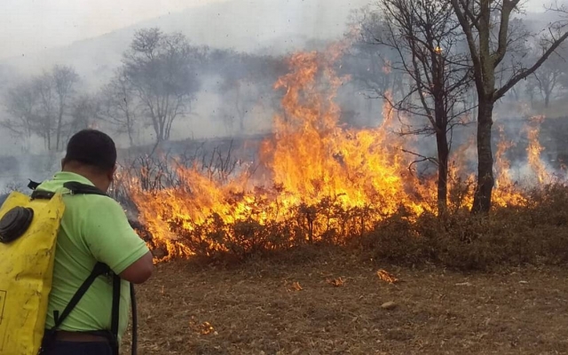 Aumentan los incendios forestales en Mazatepec