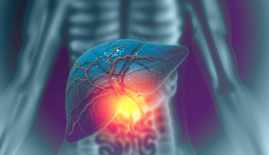 Tres bebidas que fortalecen la salud del hígado