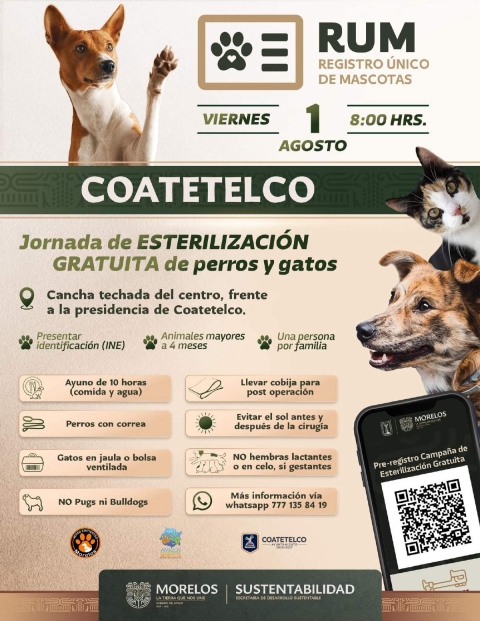 Alistan jornada gratuita de esterilización en Coatetelco