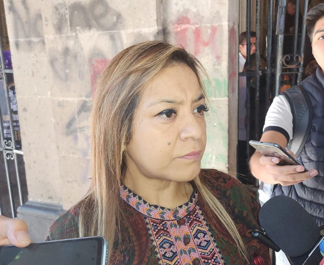Designación de 10 magistraturas del TSJ es impugnable: diputada Érika Hernández