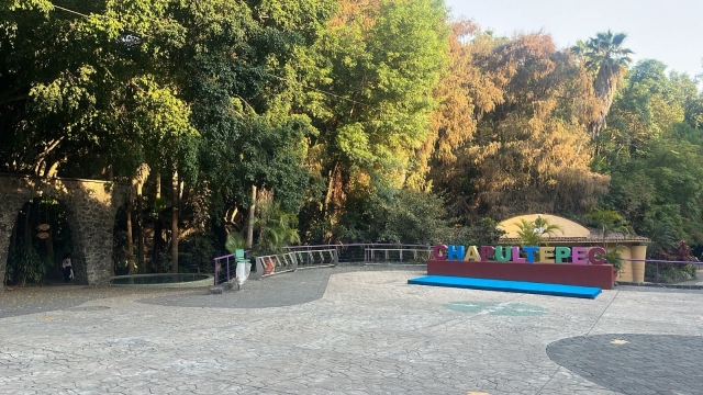 Sin afectaciones en el parque Barranca Chapultepec tras sismo