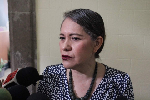 Dolores Álvarez, consejera jurídica, expuso que la propuesta busca fortalecer el rubro de seguridad en la entidad. 