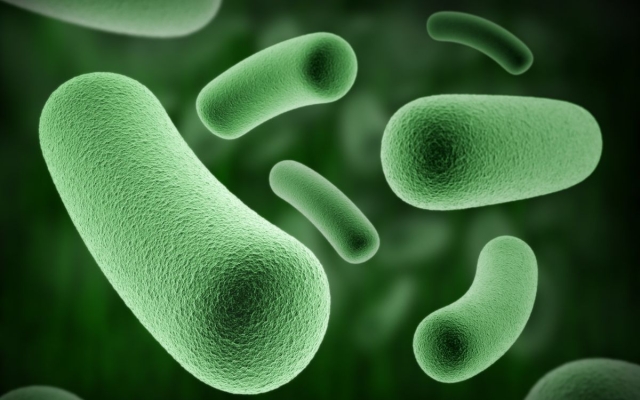 Brote de Klebsiella oxytoca está controlado, asegura Secretaría de Salud Edomex