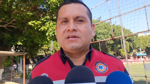 Detecta Bomberos Cuernavaca 15 enjambres de abejas en panteones municipales