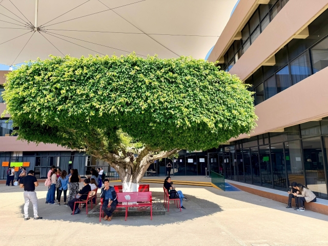 Garantiza Educaci&oacute;n continuidad del servicio educativo en Morelos