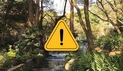Alerta por contaminación de agua en Parque Chapultepec