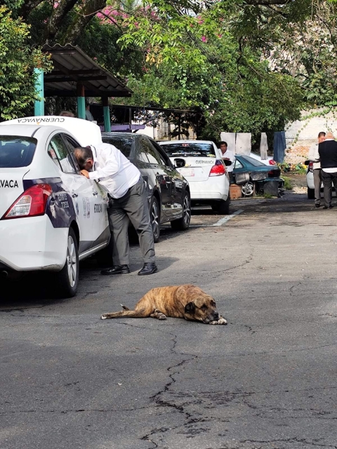  “Algunas mujeres se van sin pagar” 