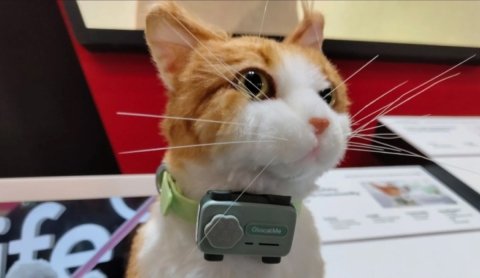 Petphone, el Innovador Dispositivo que Conectará a Dueños y Mascotas