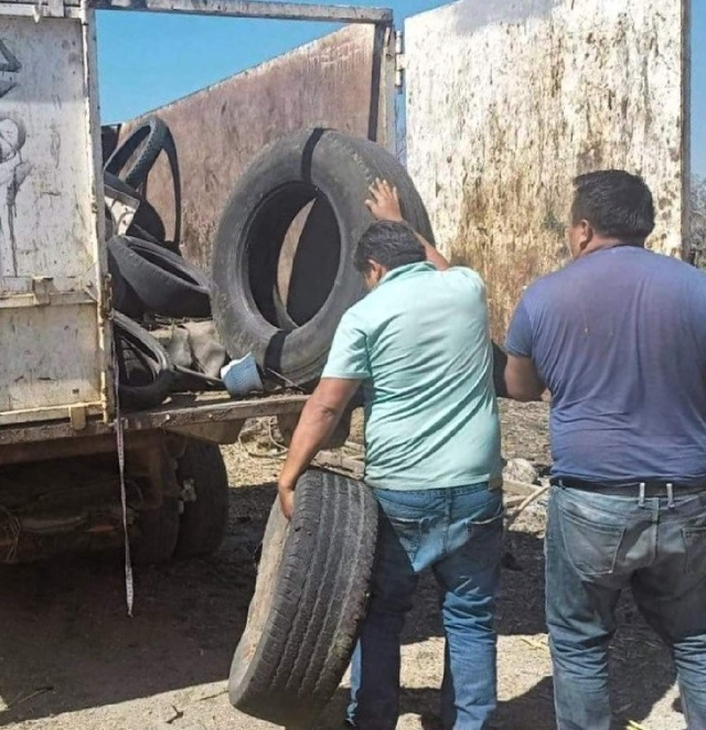 Brigadas realizan recorridos de descacharrización en diversas colonias del municipio.