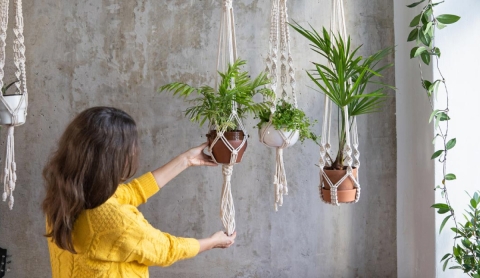 7 Ideas creativas para decorar tu casa con plantas sin recurrir a las macetas en el suelo