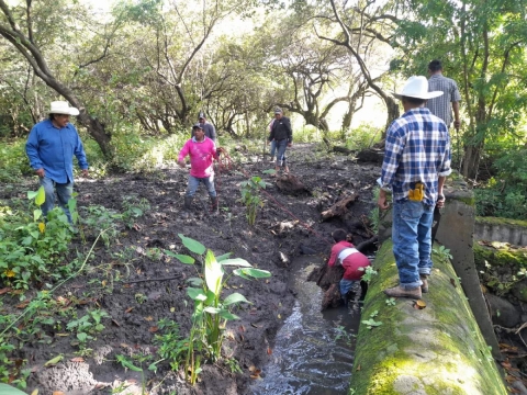 Pescadores de Coatetelco limpian canal que alimenta la laguna