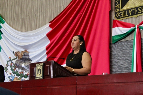 Diputada Jazmín Solano López propone tipificar la violencia vicaria en la legislación federal