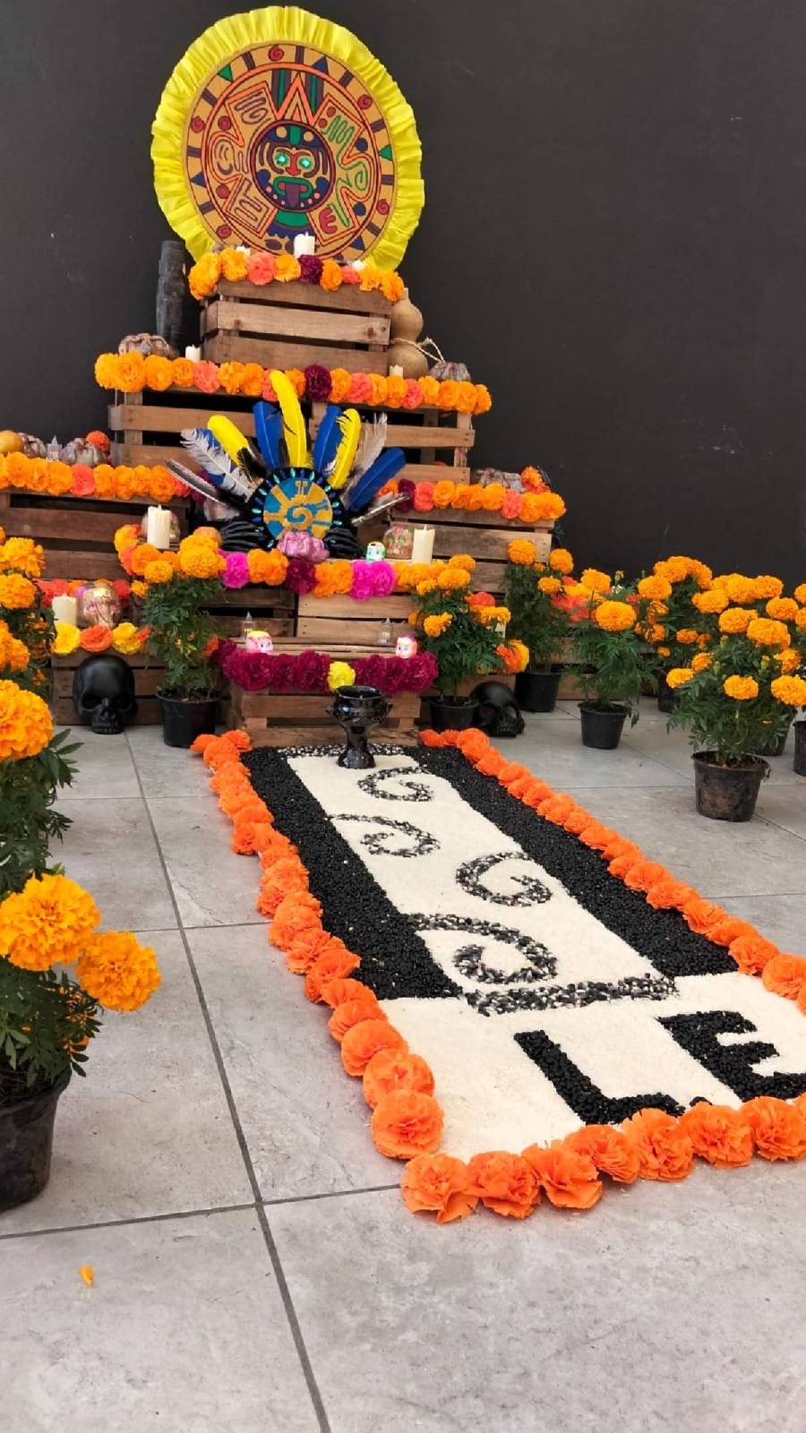 Cuando las almas vuelven a casa