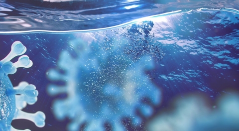 Aguas negras: un ecosistema complejo que nos ayuda a anticipar epidemias