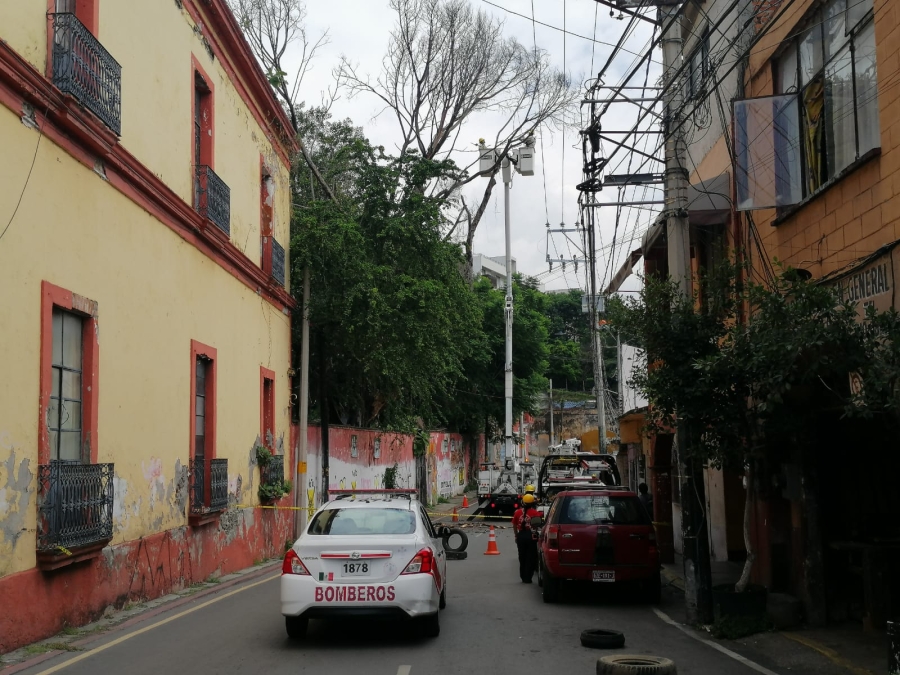 Cierre a la circulación en calle Guerrero por retiro de laurel de la India