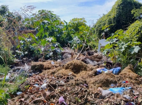 Autoridades municipales realizan limpieza en espacios que eran utilizados como basureros.