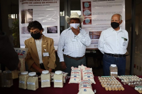 Después de más de 20 años de iniciado el proceso, arroceros de la región y del estado esperan terminarlo y por fin contar con marcas que protejan la denominación de origen.