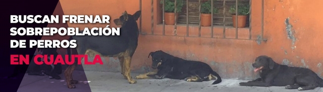 Está en puerta la Feria de Salud Animal en colonias de Cuautla.