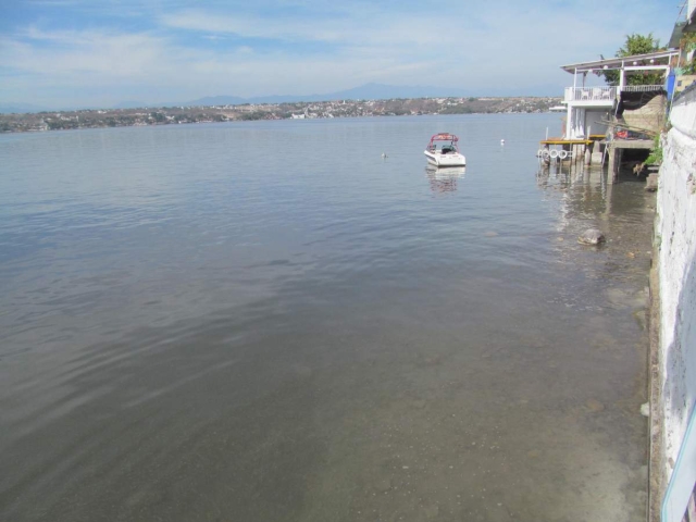 A la orilla del lago pueden observarse las mojarras, que poco a poco están superando el fenómeno natural de cada año.