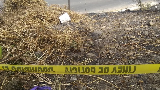 Hallaron un feto mientras recolectaban plástico