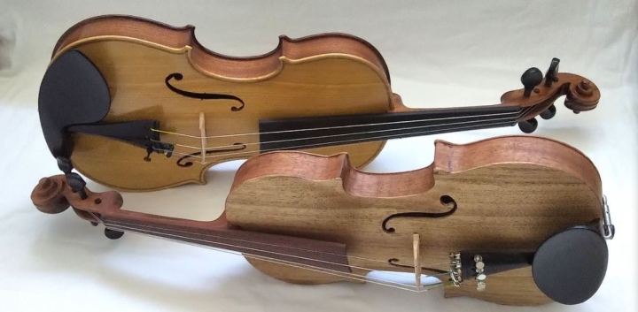 ¿Un violín africano? Un nuevo estudio prueba que con maderas autóctonas de ese continente se podría fabricar uno