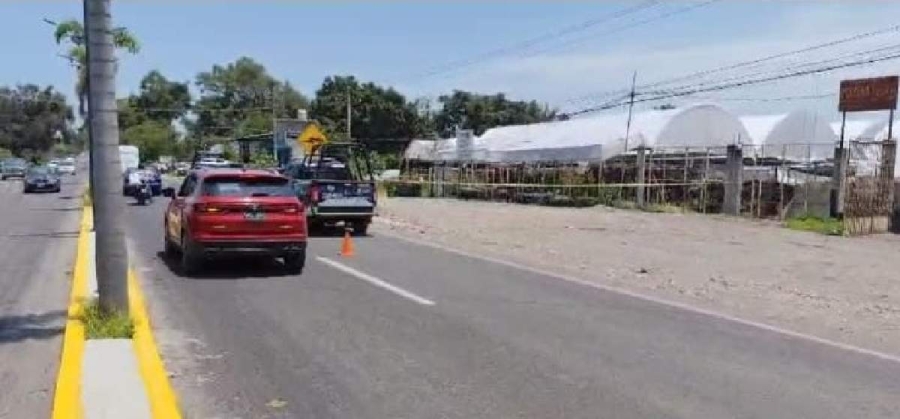 En el vivero hallaron al menos 20 casquillos percutidos.