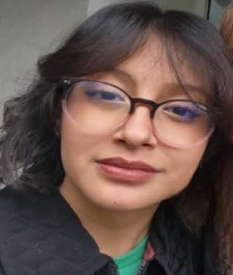  Una adolescente desapareci&oacute; en Zapata