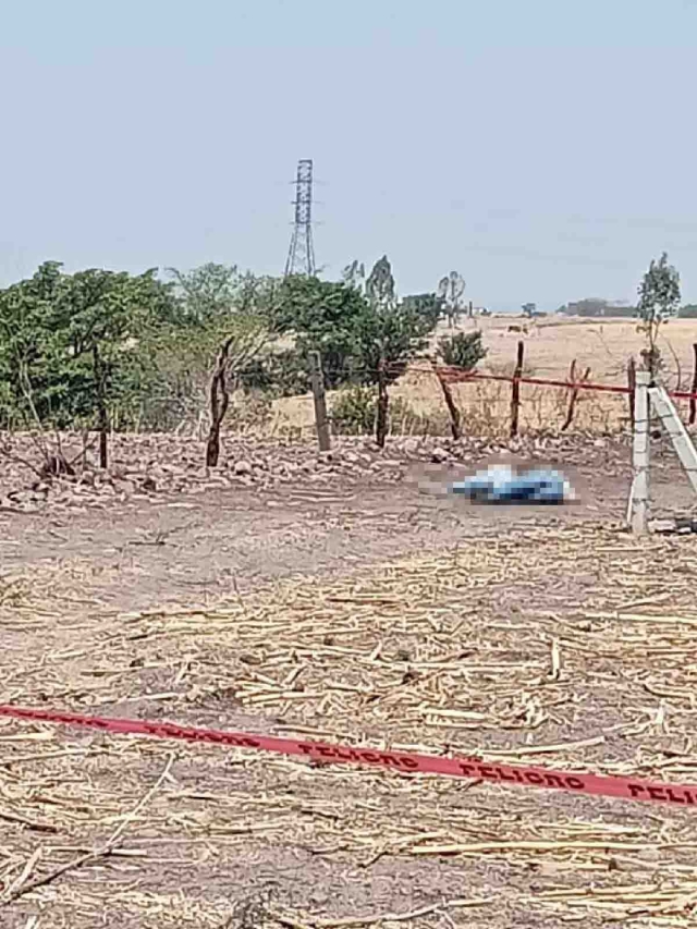 Los cuerpos fueron encontrados con heridas de bala y maniatados.