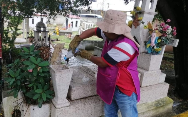 Piden utilizar flores artificiales en panteones para prevenir dengue en Día de Muertos