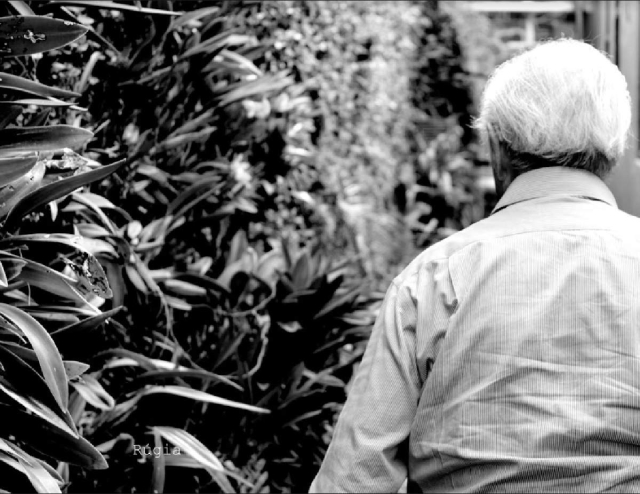 Un hombre llamado Orquídea.