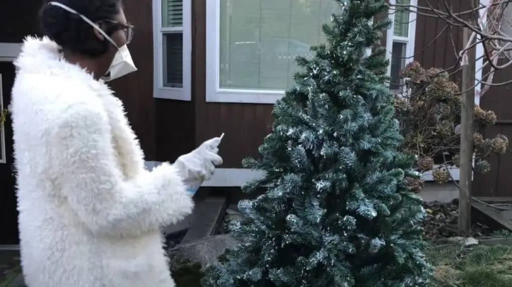 ¿Cómo cambiar el color de tu árbol de Navidad? Aprende a pintarlo fácilmente