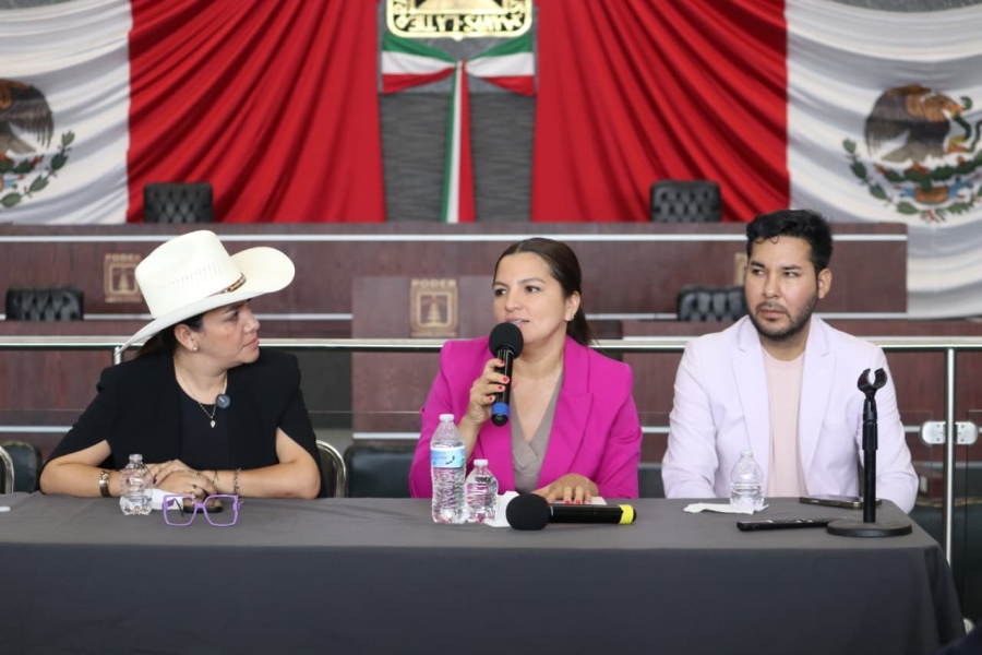 Impulsa diputada Melissa Montes de Oca foro 'Ningún agresor al poder' en Morelos y detalla la Ley '3 de 3'