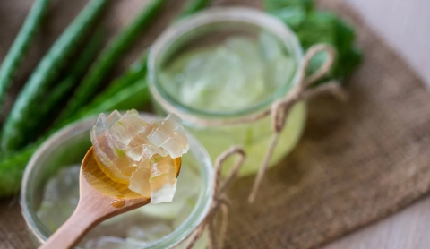 Cubos de hielo de aloe vera: el truco casero para una piel más luminosa y fresca