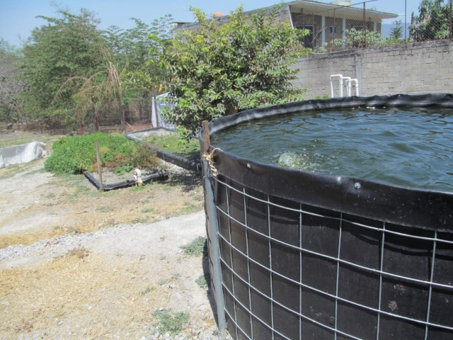 La Secundaria Técnica 34, considerada como agroecológica, es la primera en la región en utilizar la acuaponía, que combina la producción de peces con el cultivo de hortalizas, todo de carácter orgánico. 