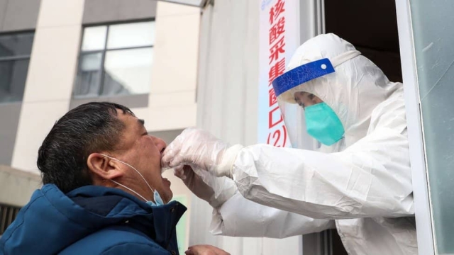 Ofrecen más de 15 mil dólares a quienes detecten casos de contagios COVID.