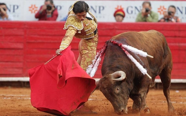 Comisión aprueba prohibir las corridas de toros en CDMX.