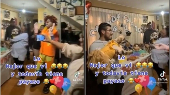 Con mañanitas perrunas y payaso, cachorros tienen fiesta