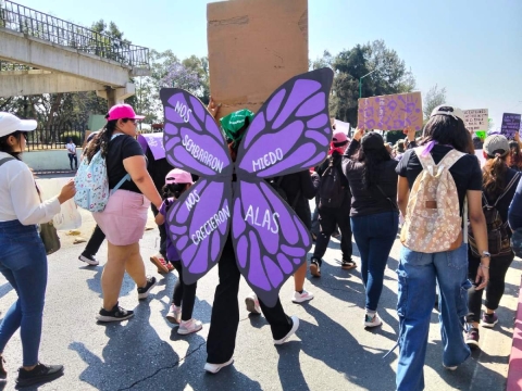 Seguridad escolar y cultura de paz II