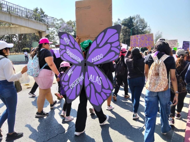 Seguridad escolar y cultura de paz II