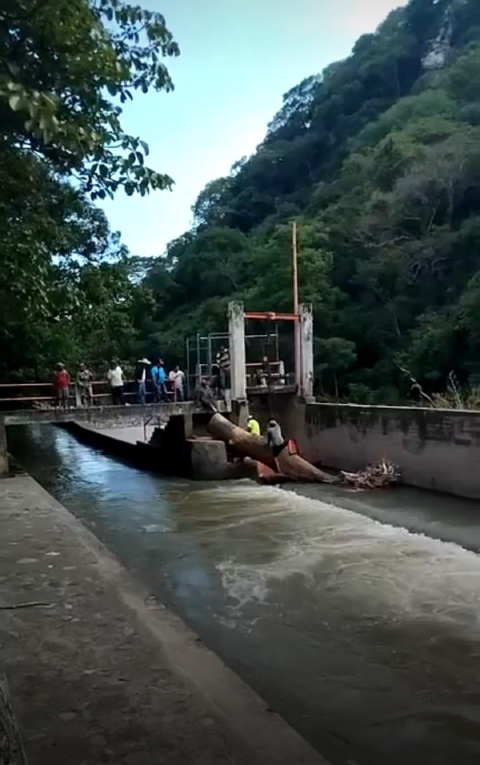 Retiran tronco atorado en presa de El Rodeo