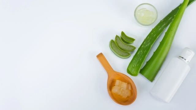 Aprende a hacer crema de aloe vera natural para hidratar, desmanchar y evitar arrugas